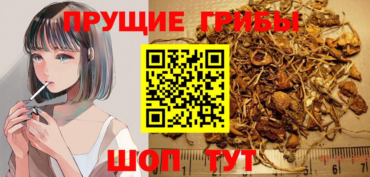 Вышний Волочёк  Псилоцибиновые грибы Magic Shrooms  Вход с VPN 